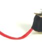 GC0517