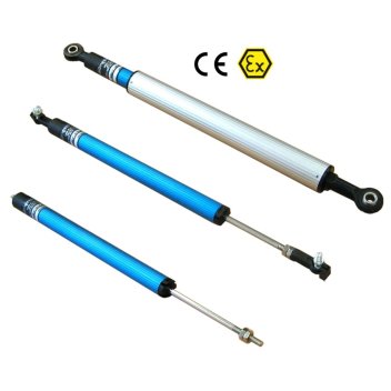 Related product