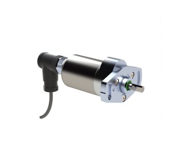 Related product