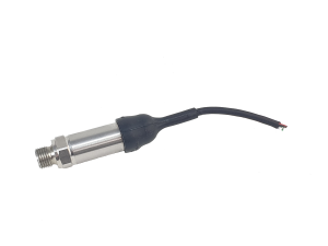 EPT1500 miniature pressure transducer.